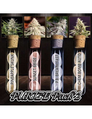 PURIZE Multipack 2 (Humboldt Seed Organization) – 12 Premium Seeds