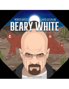Beary White Auto (Mephisto Genetics) - High Yield, Rapid Growth 2