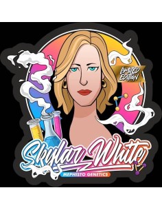 Skylar White Auto (Mephisto Genetics) - High Yields & Potent THC 2