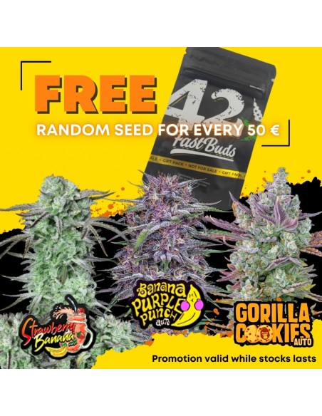 FREE Fastbuds Auto Marijuana Seeds