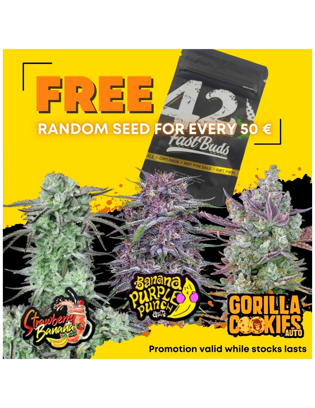 FREE Fastbuds Auto Marijuana Seeds