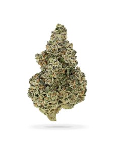 Crazy Roses Fast Version (Growers Choice) - Sweet and potent