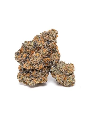 King Louis Garcia (Growers Choice) - Efectos potentes y dulces