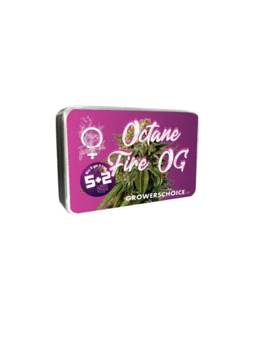 Octane Fire (Growers Choice) Feminized Seeds | Up To 30% Off