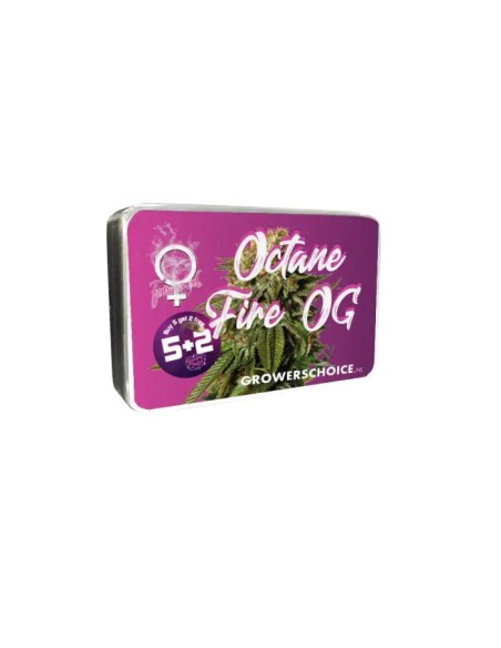 Octane Fire (Growers Choice) Semi di Cannabis Femminizzati