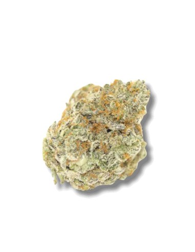 Permanent WhiteMarker (Growers Choice) - 35% THC & Molto Produttiva