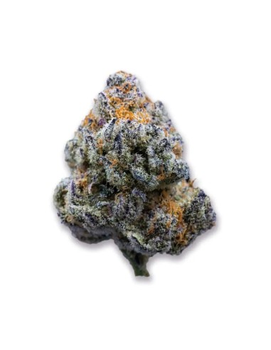 Platinum Mimosa Cookies (Growers Choice) - Lila und Schnell