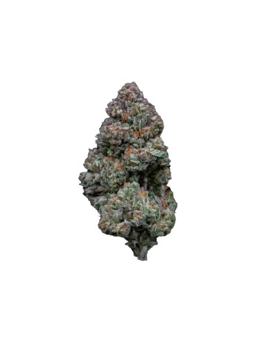 RS11 Strain (Growers Choice) - Saveur Délicieuse & Très Puissant