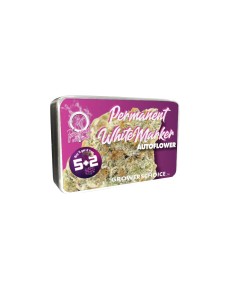 Permanent Whitemarker Auto (Growers Choice) - Top Yields & 35% THC 2