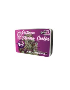 Platinum Mimosa Cookies Double XL Autoflower (Growers Choice) 🍪 2