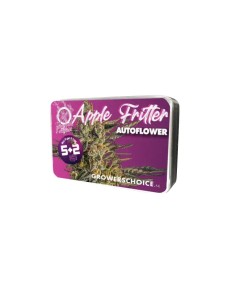 Apple Fritter (Growers Choice) - Alto THC, Sapore Fruttato 2