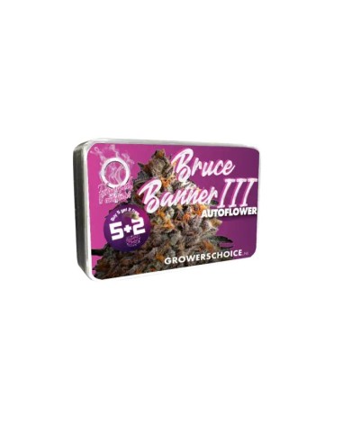 Charlotte's Dream CBD Auto (Growers Choice) CBD Seeds