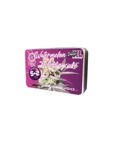 Double XL Watermelon Weddingcake (Growers Choice) – Sweet Flavor, High THC 2