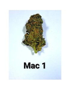 MAC 1 Auto Strain (Growers Choice) - 30% THC, Autoflowering 2