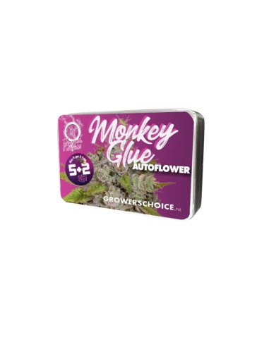 Acheter Monkey Glue Auto de Growers Choice - Oaseeds