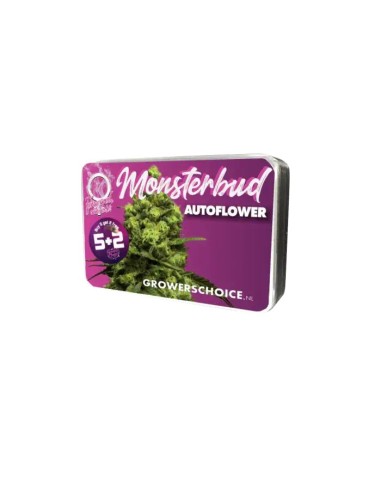 Acheter Monsterbud Auto de Growers Choice - Oaseeds