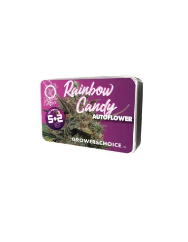 Acheter Rainbow Candy Auto de Growers Choice - Oaseeds