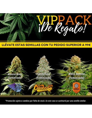 VIP Seedbanks Pack Graines de Cannabis