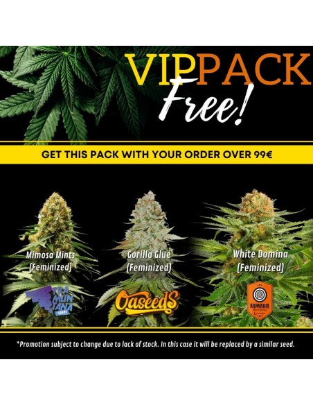 VIP Seedbanks Pack Graines de Cannabis