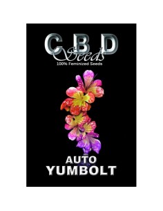 Auto Yumbolt