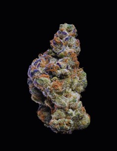 White Coconut Pie Strain (Cookies Seed Bank) 🥥 Sweet, Delicious, Powerful