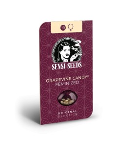 Grapevine Candy (Sensi Seeds) 🍇 Gran y Dulce Rendimiento 2