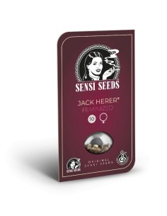 Jack Herer (Sensi Seeds) Regular Cannabis Seeds | On Sale! 2
