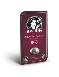 Mexican Sativa (Sensi Seeds) Semillas Regulares | ¡Oferta! 2