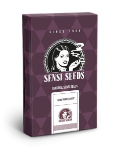 Sensi Purple Kush Feminizada ♀️ de Sensi Seeds 2