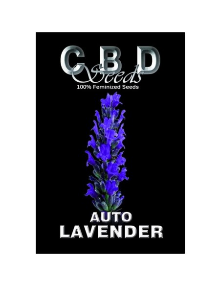 Auto Lavender
