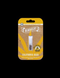 California Haze Strain (Humboldt Seed Company) 🍋 Citrus Sativa Hit