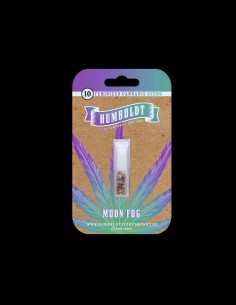 Moon Fog Strain (Humboldt Seed Company) 🌕 Cosmic High & Flavor