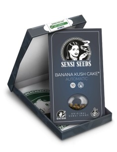 Banana Kush Cake Automatic (Sensi Seeds) Autoflorecientes 2