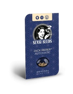 Jack Herer Auto (Sensi Seeds) ⭐ Legendary Genetics 2