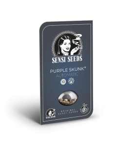 Purple Skunk Automatic (Sensi Seeds) Semillas Autofloracion 2