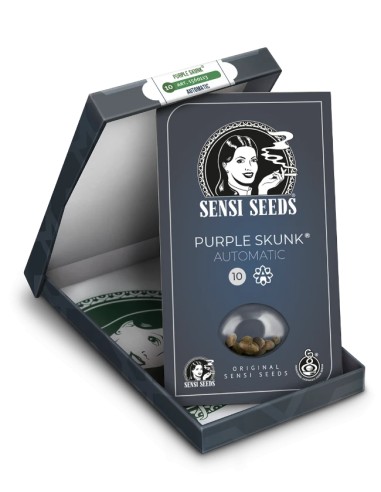 Purple Skunk Automatic (Sensi Seeds) Autoflowering Seeds