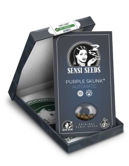 Purple Skunk Automatic (Sensi Seeds) Autoflowering Seeds