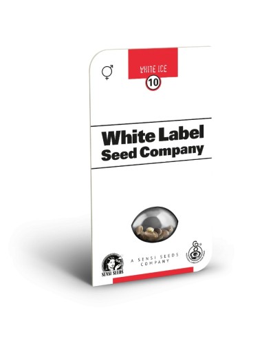 White Ice (White Label Seeds) Regular Cannabis Seeds