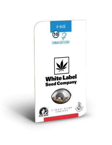 X-Haze (White Label Seeds) Semi di Cannabis Femminizzati