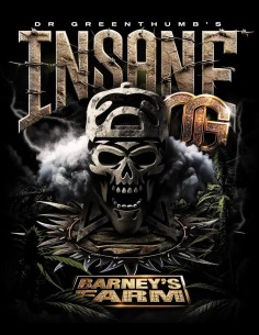 Insane OG Strain (Barney's Farm) 💀 Legendary Kush Genetics