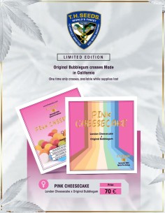 Pink Cheesecake Strain (T.H. Seeds) 🍰 Limited Edition 2