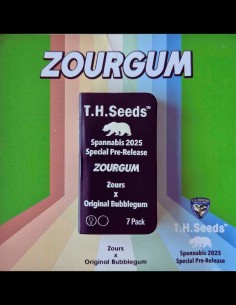 Zourgum Strain (T.H. Seeds) 🫧 Limited Edition Hybrid