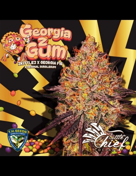 GeorgiaZGum (T.H.Seeds) 🍬 Limited Edition Sorte