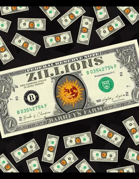 Zillions Strain (Barney's Farm) 🍬 Bonbon-Geschmack, 32% THC