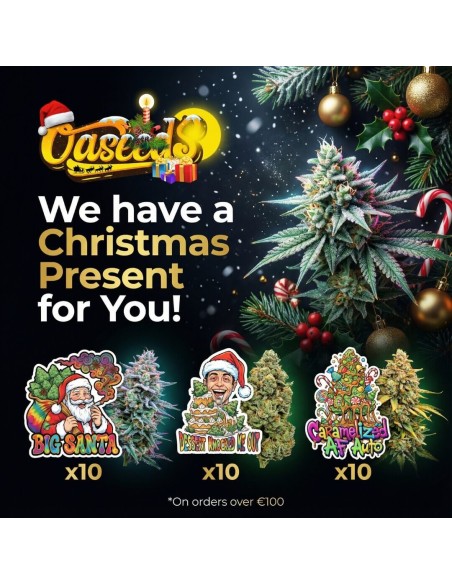 30 Free Seeds for Christmas