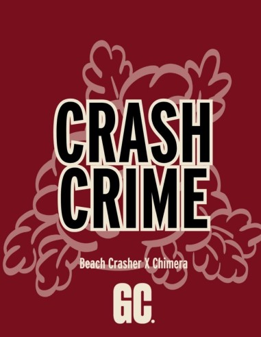 Crash Crimes (Grand Cru Genetics) 🍯 Terpènes sucrés