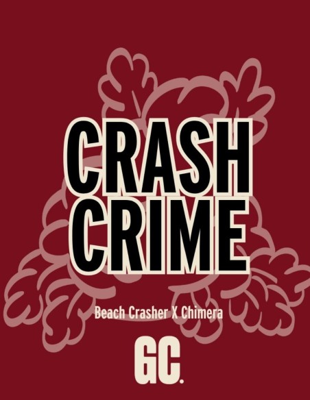 Crash Crimes (Grand Cru Genetics) 🍯 Terpènes sucrés