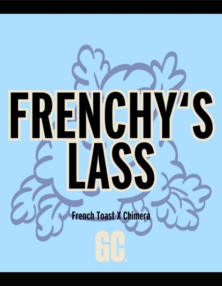 Frenchy's Lass (Grand Cru Genetics) 🧠 Cultivateur avancé
