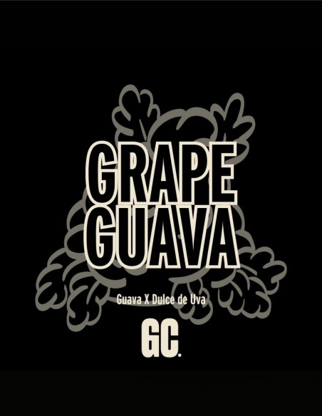 Grape Guava (Grand Cru Genetics) 🍇 Saveur d’élite