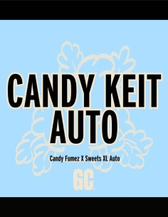 Candy Keit Auto (Grand Cru Genetics) 🍬 Fast Candy Terpenes